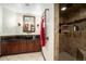 Bathroom with walk-in shower and updated vanity at 9005 Stonecrest Way, Highlands Ranch, CO 80129