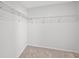 Walk-in closet features shelving and plush carpeting at 9175 Uravan Ct, Commerce City, CO 80022