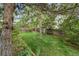 Secluded backyard featuring a lush green lawn and mature trees, providing privacy and a serene setting at 6222 S Ames Ct, Littleton, CO 80123