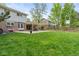 Expansive backyard with lush lawn, mature trees, and a covered patio area, great for outdoor living at 6222 S Ames Ct, Littleton, CO 80123