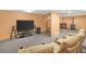 Basement with movie seating and entertainment setup at 8791 Grizzly Way, Evergreen, CO 80439