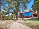 Modern mountain home with a wall of windows, deck, and porch swing nestled among the trees at 8791 Grizzly Way, Evergreen, CO 80439