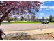 Neighborhood street view showing a well-maintained yard and community park at 8133 W Quarto Ave, Littleton, CO 80128