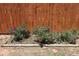 Landscaped backyard featuring a garden with blossoming flowers at 1920 Elmira St, Aurora, CO 80010