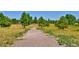Gravel walking path lined with native grasses and trees in a well-maintained community at 10806 Crooke Dr, Parker, CO 80134
