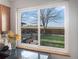 View from the kitchen window with a relaxing backyard, green grass and mature tree at 9787 W Ohio Ave, Lakewood, CO 80226