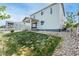 Spacious backyard with well-maintained lawn, covered patio, and fence, perfect for outdoor living at 3699 Makley Cir, Castle Rock, CO 80104
