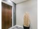 Apartment entrance features a modern door, neutral wall color and pot with decorative sticks at 891 14Th St # 1408, Denver, CO 80202