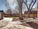 Backyard with grass, trees, mulched flower beds and a privacy fence at 1378 Forest St, Denver, CO 80220