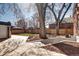 Fenced backyard with mature trees and concrete patio at 1378 Forest St, Denver, CO 80220