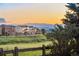 View of a residential area with manicured lawns, showcasing community and mountain views at 23060 Hope Dale Ave, Parker, CO 80138