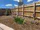Backyard garden with privacy fence, fresh mulch, blooming iris, young trees, and blooming lilac bushes at 965 Arapahoe Cir, Louisville, CO 80027