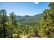 Scenic mountain view through a forest of tall pine trees on a clear, sunny day at 7350 Timber Trail Rd, Evergreen, CO 80439
