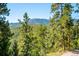 Gorgeous mountain views surrounded by lush trees, offering a serene and peaceful backdrop at 7350 Timber Trail Rd, Evergreen, CO 80439