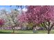 Community park with colorful blossoming trees and a playground at 2525 S Pennsylvania St, Denver, CO 80210