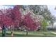 Community park with flowering trees providing shade and beauty at 2525 S Pennsylvania St, Denver, CO 80210