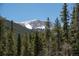 Mountain landscape features a hillside covered in snow and pine trees at 6087 Highway 9, Breckenridge, CO 80424