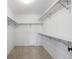Empty walk-in closet with basic shelving and carpet; ready to be customized and organized at 7099 Cerney Cir, Castle Pines, CO 80108