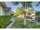 Well-maintained front yard with lush lawn and tree, enhancing the property's appeal at 575 N Marion St, Denver, CO 80218