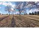 Peaceful park with mature trees and open field at 8690 Allison St # H, Arvada, CO 80005