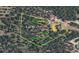 Lot 50 aerial artist rendering, showing dome greenhouse and leach field layout at 29657 Loomis Way, Golden, CO 80403