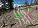 Leach field location marked with flagging tape; Artist rendering of lot 50 at 29657 Loomis Way, Golden, CO 80403
