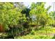 Tranquil creek surrounded by lush greenery and trees creates a peaceful ambiance at 13905 Berry Rd, Golden, CO 80401