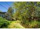 Beautiful creek runs through the property, surrounded by lush greenery and mature trees at 13905 Berry Rd, Golden, CO 80401