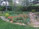 Lush yard with garden featuring vibrant orange poppies, stone accents, and ambient lighting, creating a tranquil outdoor escape at 9720 E Pinewood Ave, Englewood, CO 80111