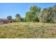 Large grassy lot with mature trees and blue sky is the perfect location to build your dream home at 7735 Westview Dr, Lakewood, CO 80214