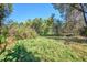 Grassy lot surrounded by green mature trees and foliage has plenty of room to enjoy privacy at 7735 Westview Dr, Lakewood, CO 80214