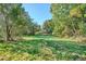 Grassy vacant lot surrounded by mature trees on a clear day at 7735 Westview Dr, Lakewood, CO 80214