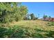 Grassy vacant lot with mature trees on a clear day at 7735 Westview Dr, Lakewood, CO 80214