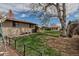 Large fenced backyard with a healthy lawn, patio with an umbrella, and a storage outbuilding at 3630 W Saratoga Ave, Littleton, CO 80123