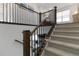 Carpeted staircase featuring dark wood banisters and iron railings at 4781 Saddle Iron Rd, Castle Rock, CO 80104