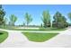 Outdoor basketball court with surrounding green space at 5630 Spruce Ave, Castle Rock, CO 80104