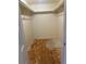 An empty walk-in closet with shelves at 14602 E 2Nd Ave # 108-C, Aurora, CO 80011