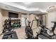 Finished exercise room with various equipment, including treadmill, weights, and wall-mounted TV at 6740 S Windermere St, Littleton, CO 80120