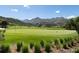 Picturesque golf course with lush green fairways and the impressive mountain range in the background at 8310 Raphael Ln, Littleton, CO 80125
