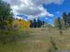 Picturesque meadow with bright yellow Aspen trees under a blue sky with fluffy white clouds at 26526 Gray Buck Trl, Conifer, CO 80433