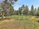 Spacious fenced pasture providing a secure area for livestock grazing and outdoor recreation at 26526 Gray Buck Trl, Conifer, CO 80433