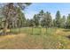 Fenced pasture land, perfect for livestock or horses, with mature trees and ample space at 26526 Gray Buck Trl, Conifer, CO 80433