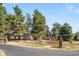 View of the long driveway leading up to the estate home at 4181 S Colorado Blvd, Cherry Hills Village, CO 80113