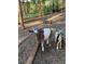 The property includes livestock like goats and donkeys in a serene, tree-filled environment at 24949 N Mountain Park Dr, Evergreen, CO 80439