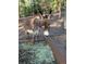 Outdoor image of a gray donkey eating at a trough on a wooded lot at 24949 N Mountain Park Dr, Evergreen, CO 80439