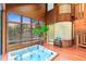 Indoor hot tub room with wood walls, unique glass block accents and a plant to bring the outdoors in at 16416 E Powers Pl, Centennial, CO 80015