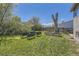 Spacious backyard with green grass and three gardening containers offering outdoor possibilities at 8438 Prairie Clover Way, Parker, CO 80134