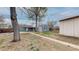 Spacious backyard with mature trees, a storage shed, and a covered walkway connecting the house to garage at 415 S Parfet St, Lakewood, CO 80226