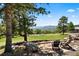 Serene backyard with stone patio, outdoor seating, and stunning views of trees, mountains, and blue skies at 1555 Genesee Ridge Rd, Golden, CO 80401