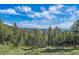 Scenic landscape showcasing lush green trees and distant mountains under a blue sky at 25601 Centennial Trl, Golden, CO 80401